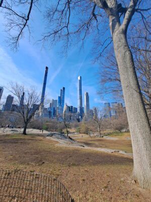 IMG_20250413_201244 Ryan Evans Ryan Evans