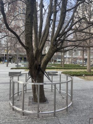 IMG_2079 Mackenzie Stephenson Mackenzie Stephenson