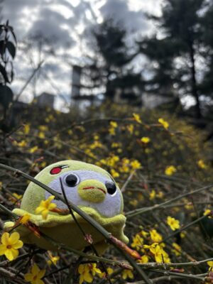 IMG_6294 Marissa Portillo Marissa Portillo